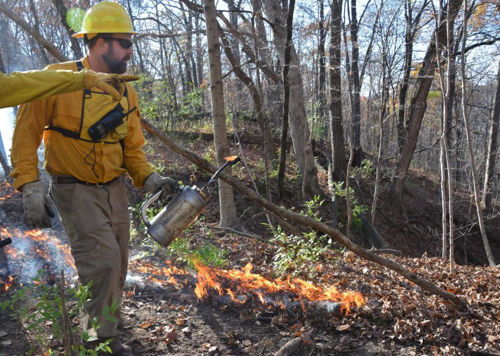 Controlled burn taking place with a man observing.