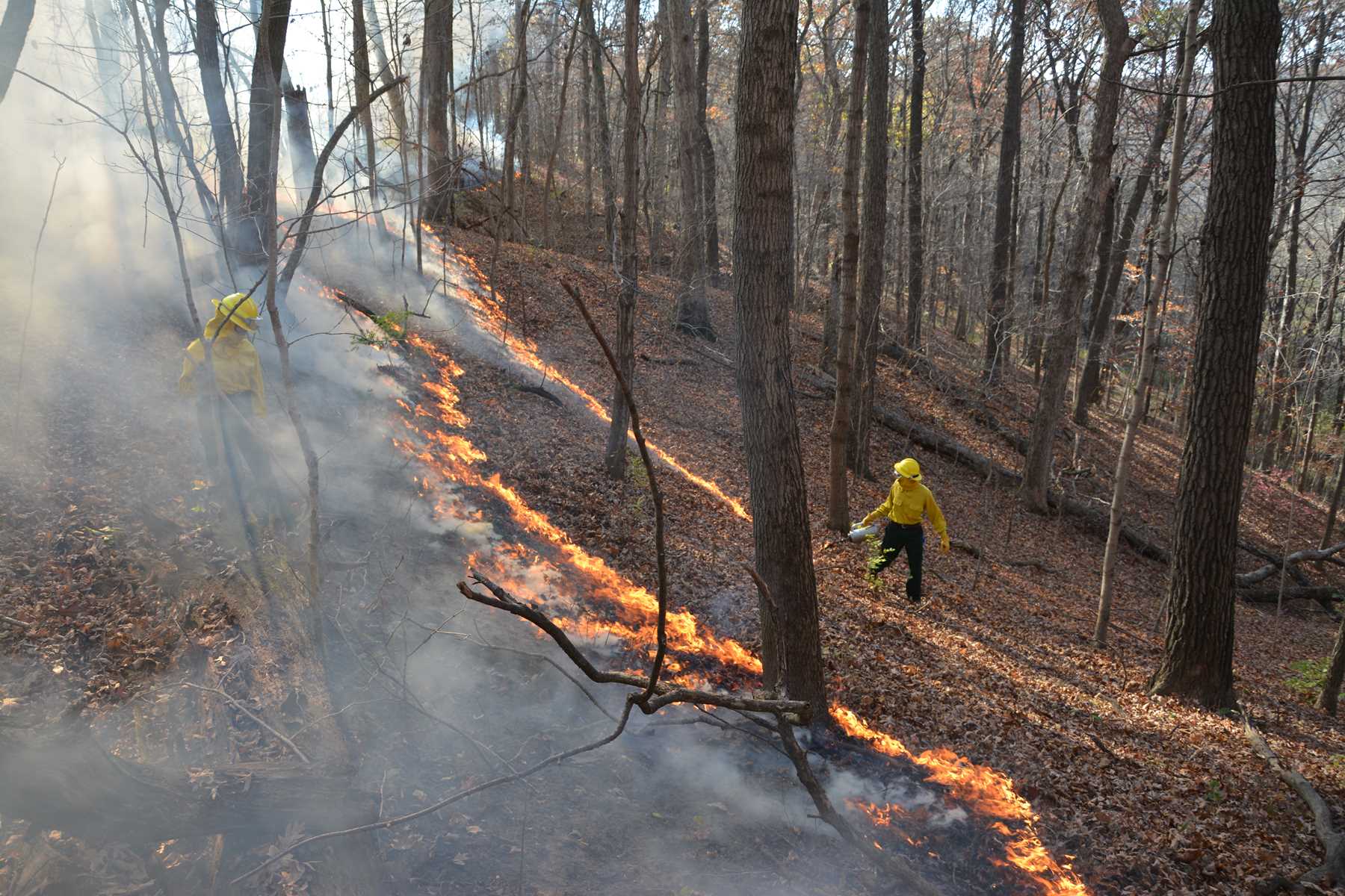 Two men in protective gear in the woodlands conducting a planned fire.