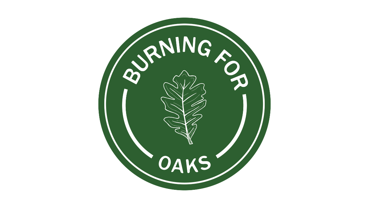 Badge with oak leaf drawing that says 