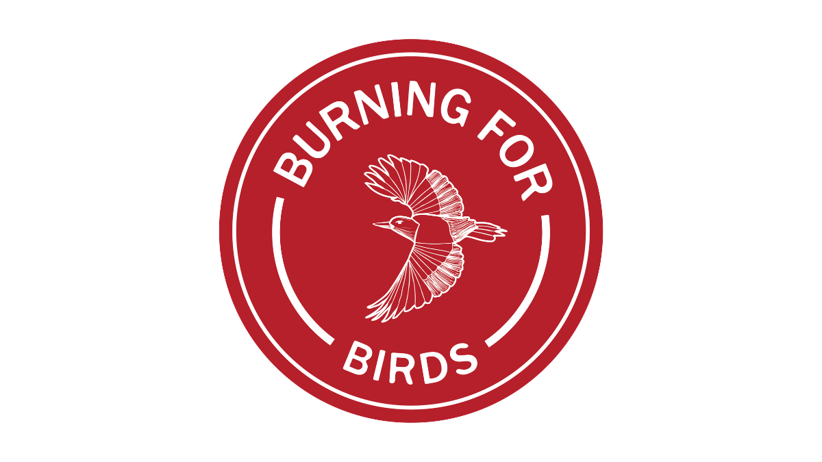 Badge with red-headed woodpecker drawing and 