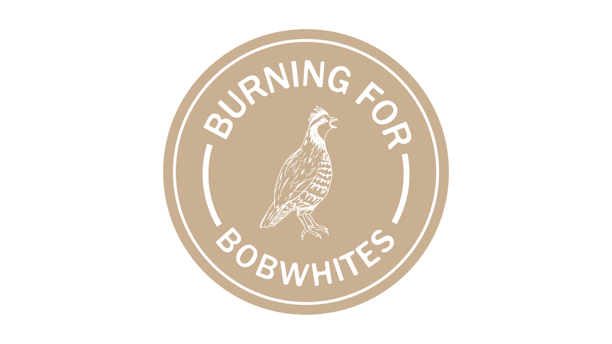 Badge with drawing of quail and 