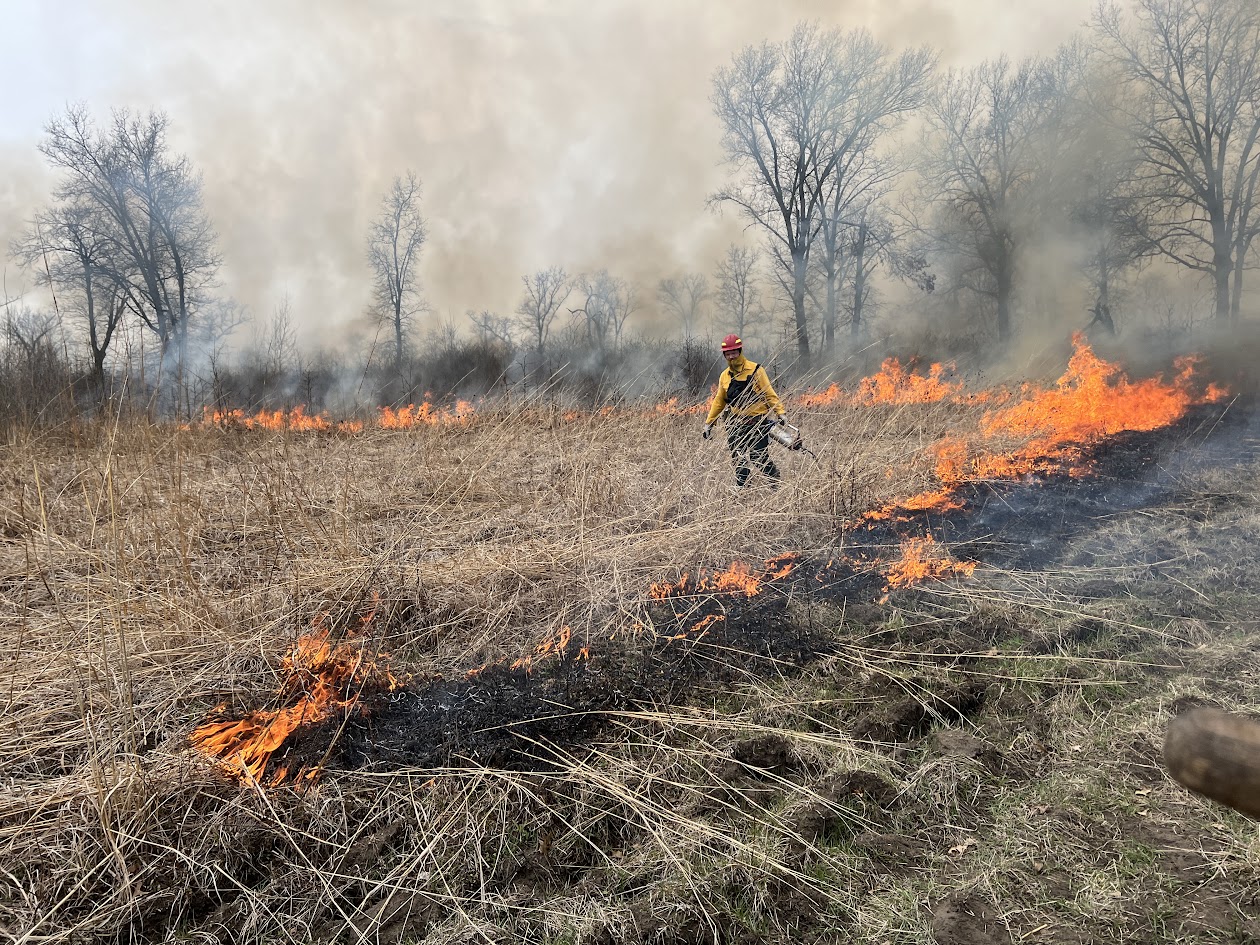 Person in Nomex lights grass field on fire